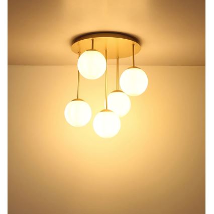 Globo - Brass 5-light flush-mount chandelier, 5xE14/25W/230V