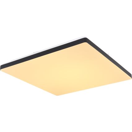 Globo - LED Dimmable ceiling light LED/24W/230V 2700-6500K Wi-Fi Tuya + remote control