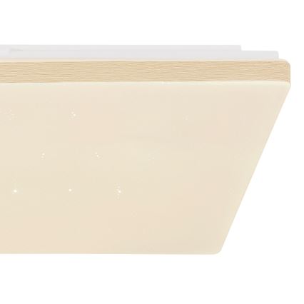 Globo - Dimmable LED ceiling light LED/24W/230V Wi-Fi Tuya + remote control