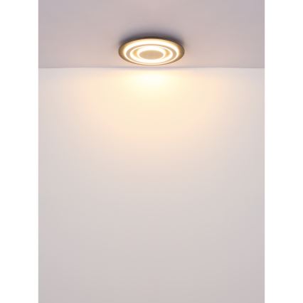 Globo - LED Ceiling light LED/24W/230V 3000K d. 32 cm