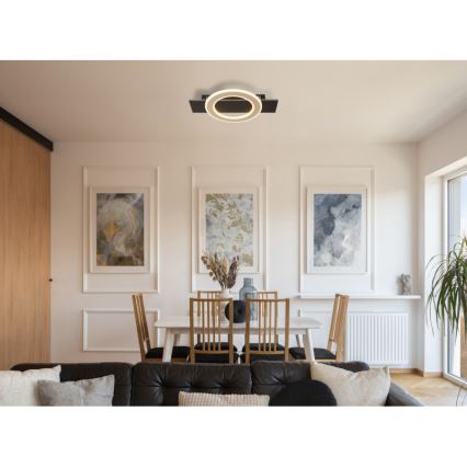 Globo - LED Ceiling light LED/18W/230V 3000K 29x44 cm