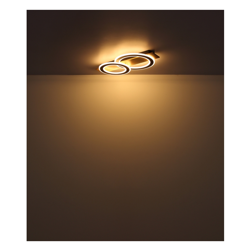 Globo - LED Ceiling light LED/40W/230V 3000K 35x63 cm