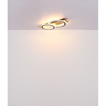 Globo - LED Ceiling light LED/40W/230V 3000K 35x63 cm