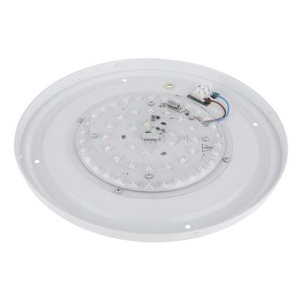 Globo - LED Dimmable ceiling light LED/24W/230V 3000/4000/6000K d. 38 cm