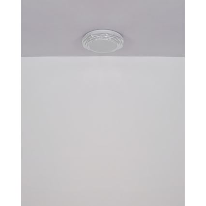 Globo - LED Dimmable ceiling light LED/36W/230V 3000/4000/6000K d. 48 cm