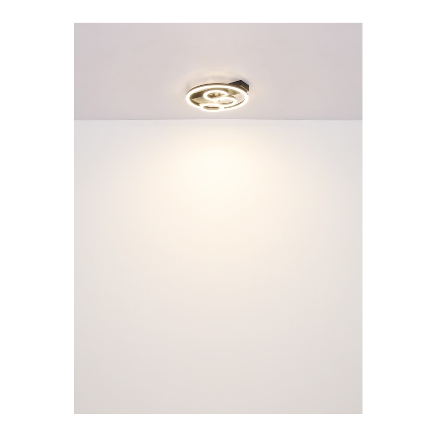 Globo - LED Dimmable ceiling light LED/40W/230V 2700-6500K d. 35x33 cm + remote control