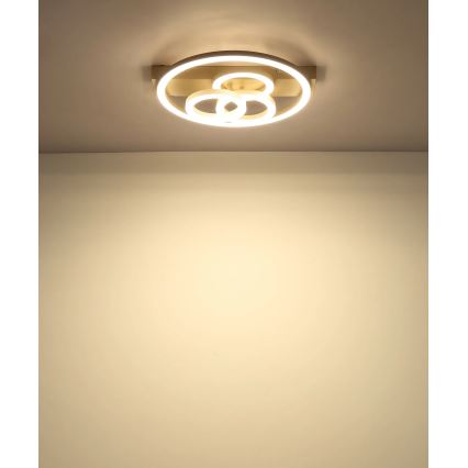 Globo - Dimmable LED ceiling light, 40W/230V, 2700-6500K, Ø 35×33 cm, brass finish + remote control