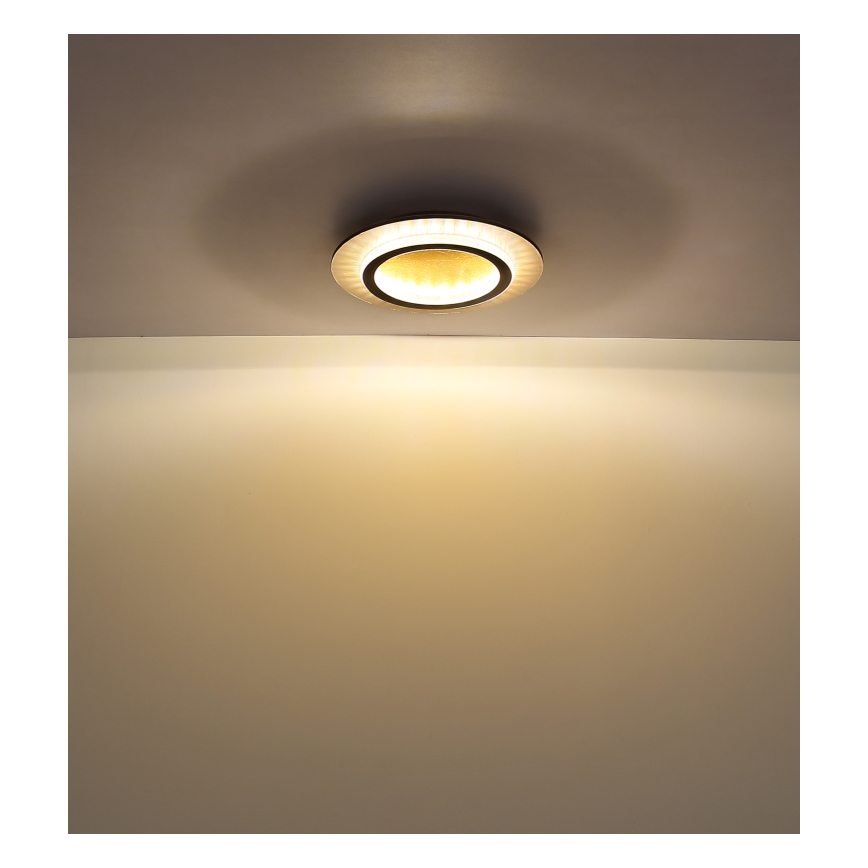 Globo - LED Ceiling Light LED/24W/230V 3000/4000/6500K Ø 35 cm black