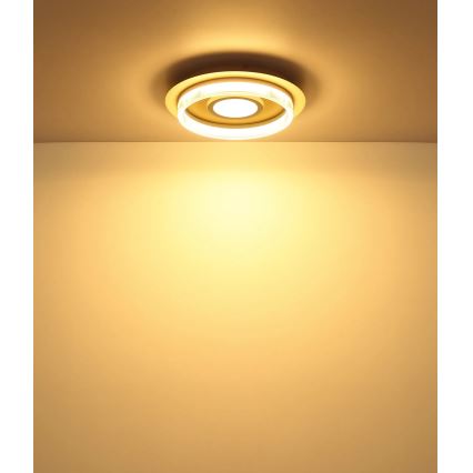 Globo - LED Ceiling Light LED/24W/230V 3000K Ø 40 cm