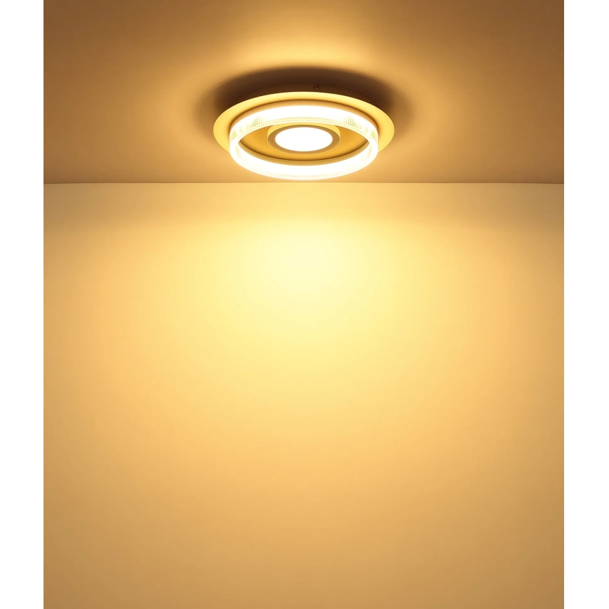 Globo - LED Ceiling Light LED/24W/230V 3000K Ø 40 cm