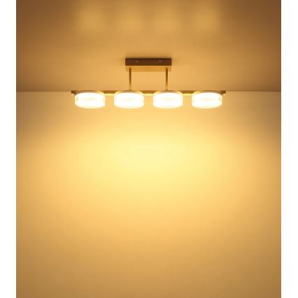 Globo - LED Flush-Mount Chandelier LED/24W/230V 3000K