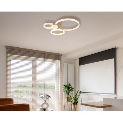 Globo - LED Ceiling Light LED/40W/230V 3000K 64,5x75 cm