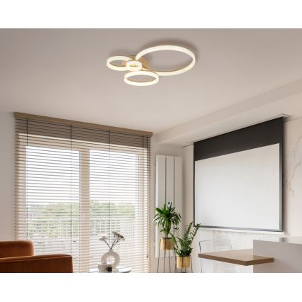 Globo - LED Ceiling Light LED/40W/230V 3000K 64,5x75 cm