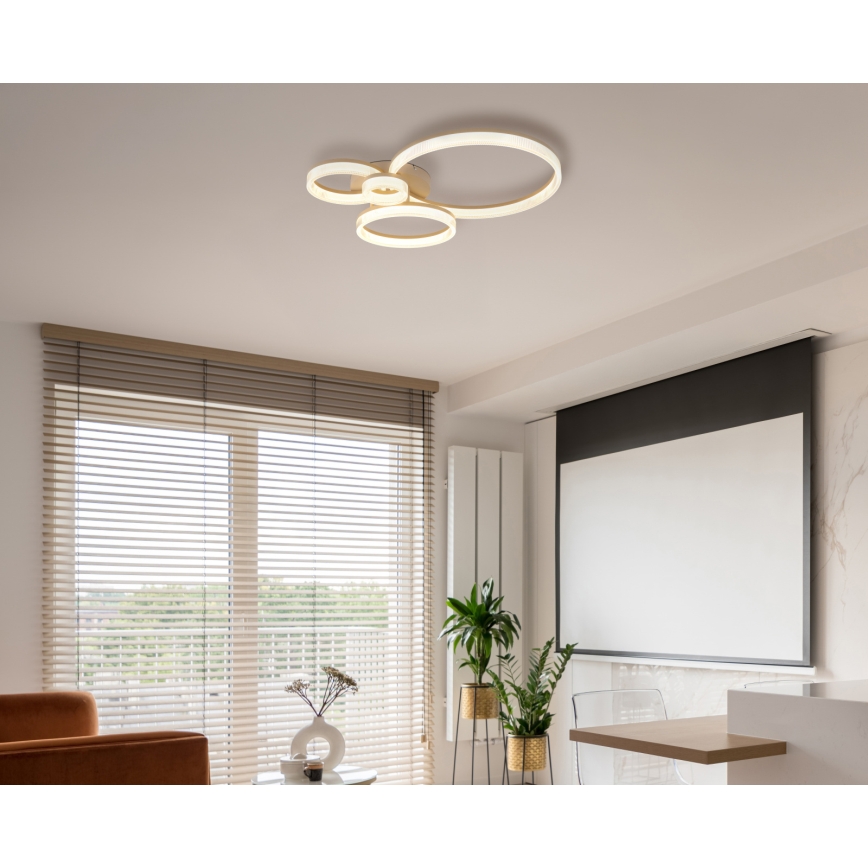 Globo - LED Ceiling Light LED/40W/230V 3000K 64,5x75 cm