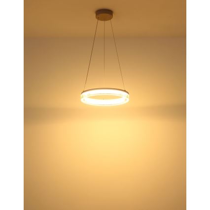 Globo - LED Cable Pendant LED/16W/230V 3000K