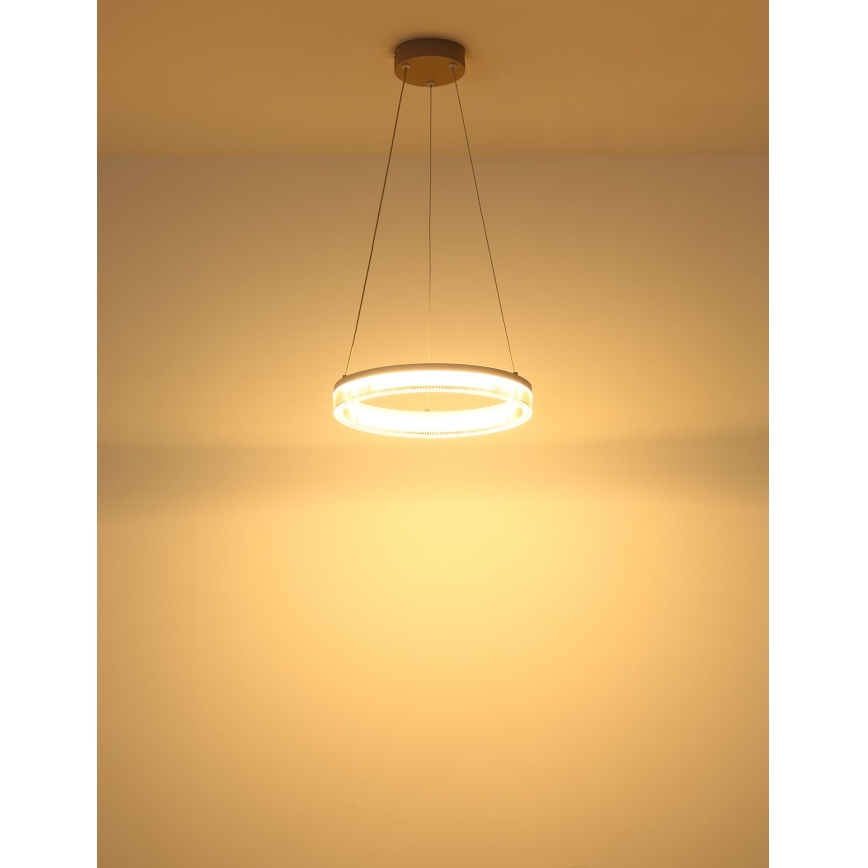 Globo - LED Cable Pendant LED/16W/230V 3000K