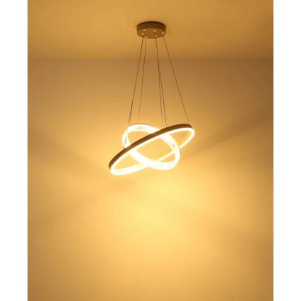 Globo - Cable-Suspended LED Pendant Light LED/30W/230V 3000K