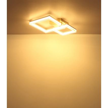 Globo - LED Ceiling Light LED/24W/230V 3000K 46,5x62,5 cm