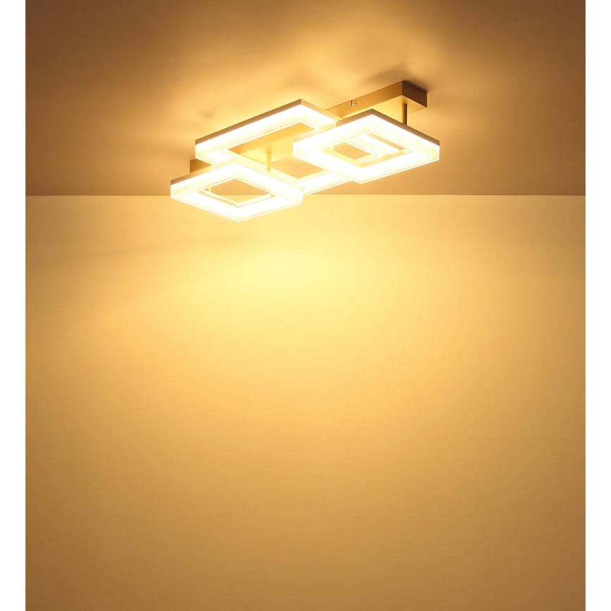 Globo - LED Ceiling Light LED/40W/230V 3000K 33x66 cm