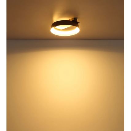 Globo - LED Ceiling light LED/12W/230V 3000K 26x25 cm