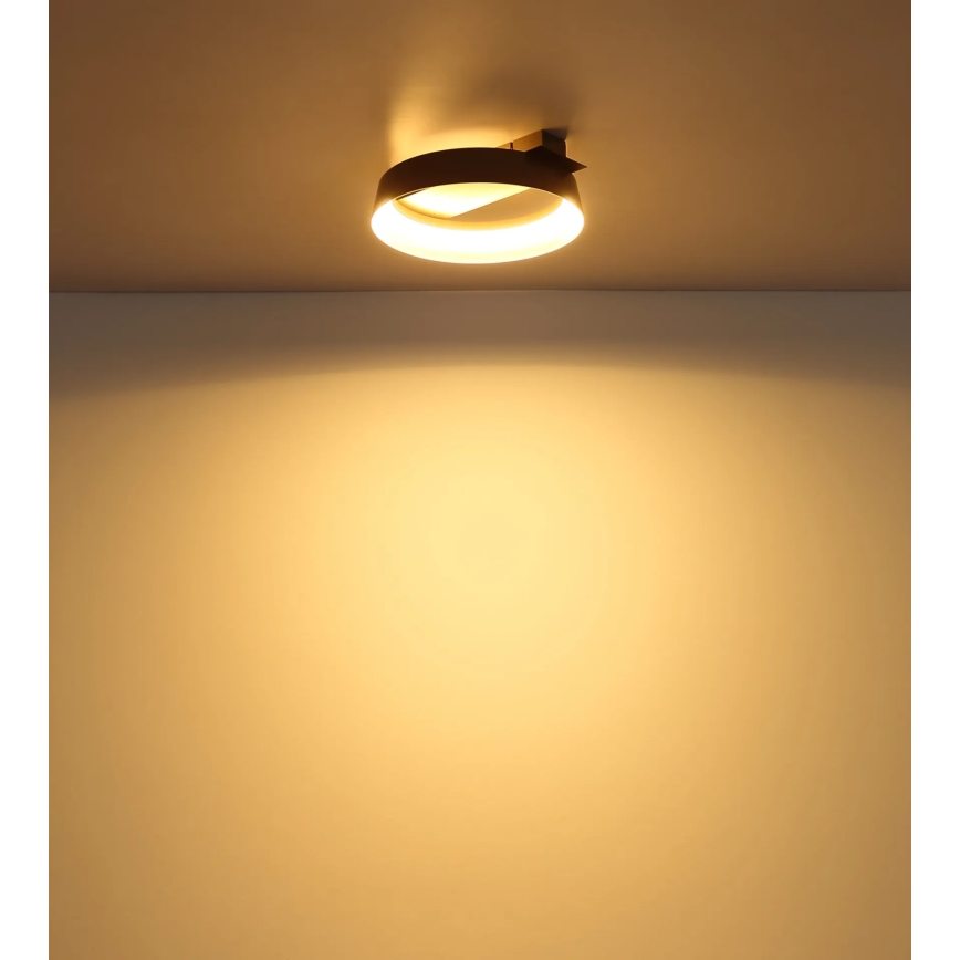 Globo - LED Ceiling light LED/12W/230V 3000K 26x25 cm