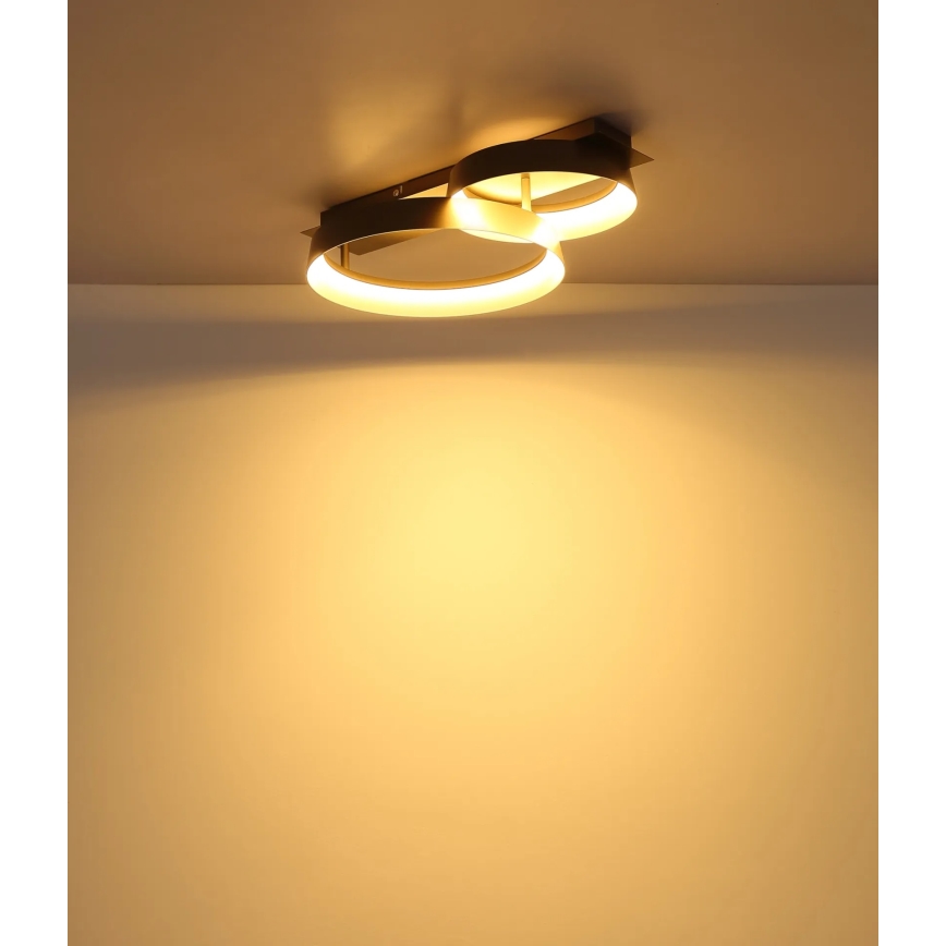 Globo - LED ceiling light LED/24W/230V 3000K 50x35 cm