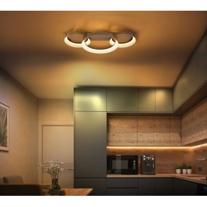 Globo - LED Ceiling Light LED/40W/230V 3000K 70x35 cm
