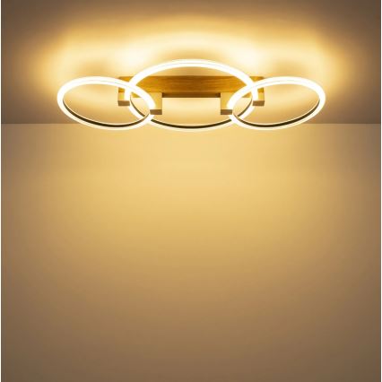 Globo - LED Ceiling Light LED/40W/230V 3000K 76.1x38 cm brown