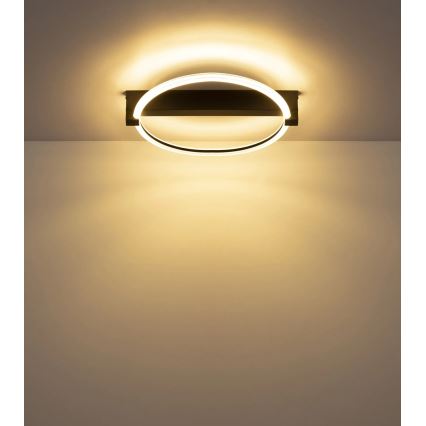 Globo - LED Ceiling Light, 15 W, 230 V, 3000 K, 41.5 x 38 cm, Black