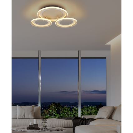 Globo - LED Ceiling Light LED/40W/230V 3000K 60,5x62,5 cm