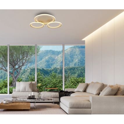 Globo - LED Ceiling Light LED/40W/230V 3000K 60,5x62,5 cm