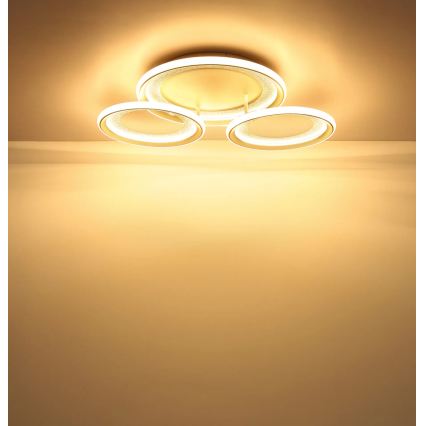Globo - LED Ceiling Light LED/40W/230V 3000K 60,5x62,5 cm