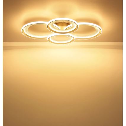 Globo - LED Ceiling Light LED/50W/230V 3000K 64,5x85,5 cm