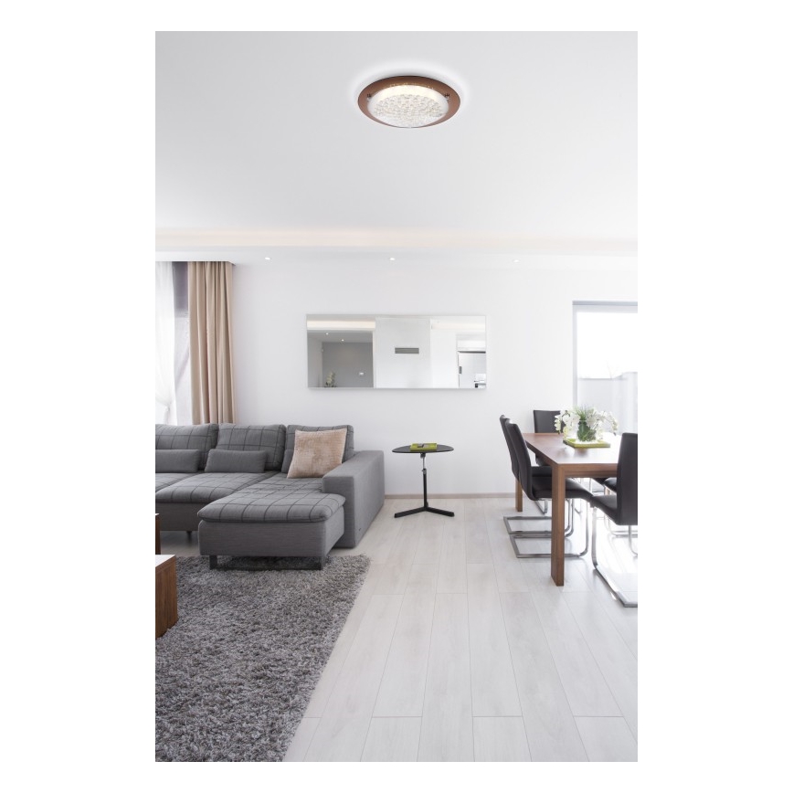 Globo - LED Ceiling light TABASCO LED/12W/230V
