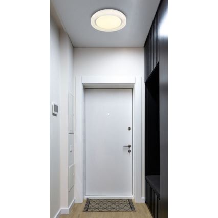 Globo - LED Ceiling light LED/24W/230V 4000K d. 38 cm