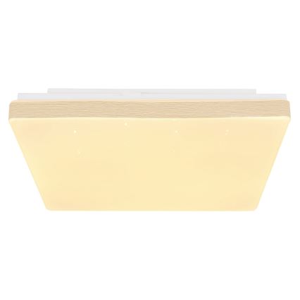 Globo - LED Ceiling light LED/12W/230V