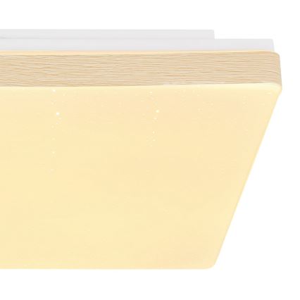 Globo - LED Ceiling light LED/12W/230V