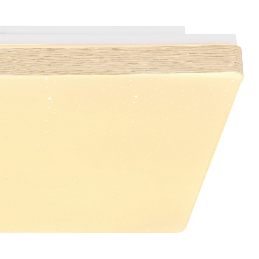 Globo - LED Ceiling light LED/12W/230V