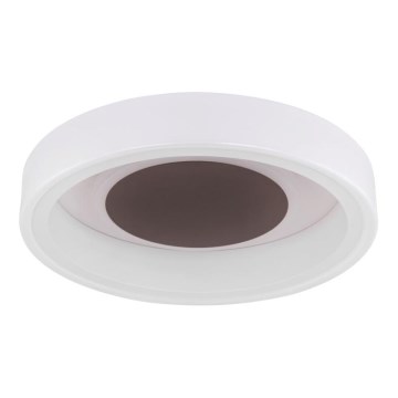 Globo 48398-24 - LED Ceiling light GOFFI LED/30W/230V