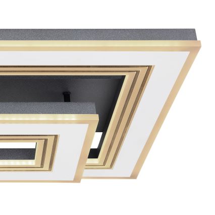 Globo - LED Dimmable ceiling light LED/50W/230V 2700-6000K + remote control