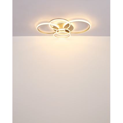 Globo - LED Ceiling light LED/70W/230V 3000K 88x110 cm beige
