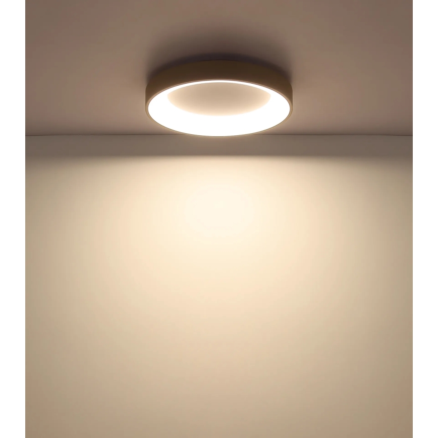 Globo – Dimmable LED ceiling light, 48 W, 230 V, tunable white 2700–6000 K, Ø 50 cm, with remote control