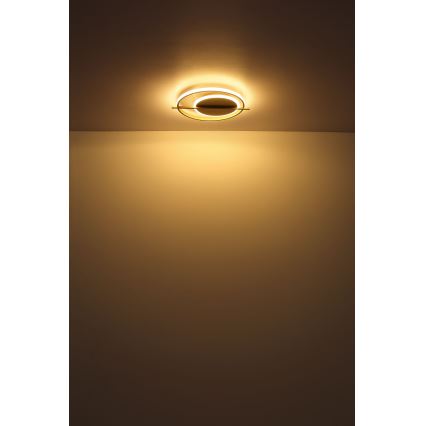 Globo - LED Ceiling light LED/36W/230V