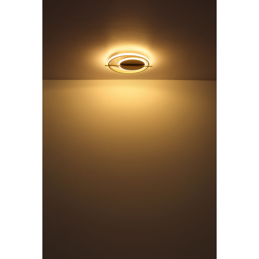 Globo - LED Ceiling light LED/36W/230V