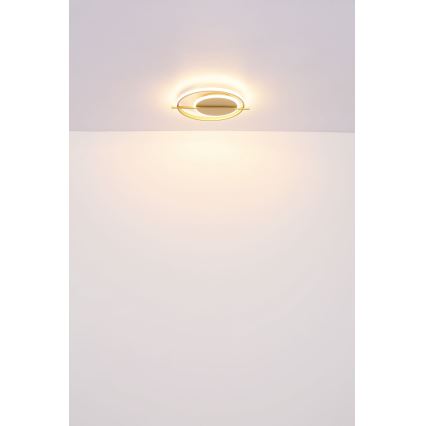 Globo - LED Ceiling light LED/36W/230V