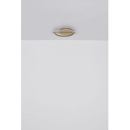 Globo - LED Ceiling light LED/36W/230V