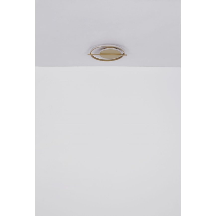 Globo - LED Ceiling light LED/36W/230V