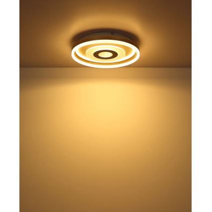 Globo - LED Ceiling Light, 24W/230V, 3000K, Ø 40 cm
