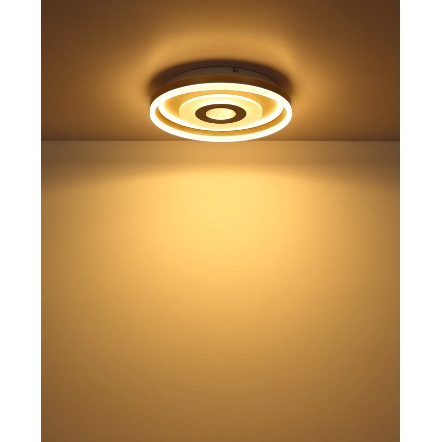 Globo - LED Ceiling Light, 24W/230V, 3000K, Ø 40 cm