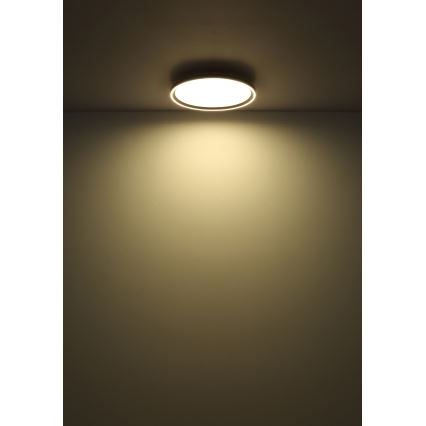 Globo - LED Dimmable ceiling light LED/48W/230V d. 50 cm 2700-6000K + remote control